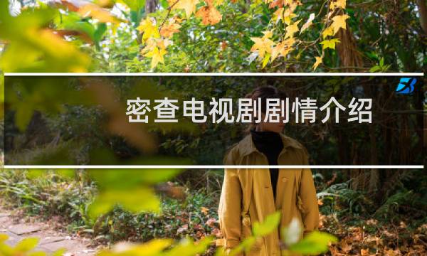 密查电视剧剧情介绍