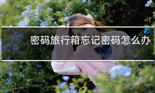 密碼旅行箱忘記密碼怎么辦