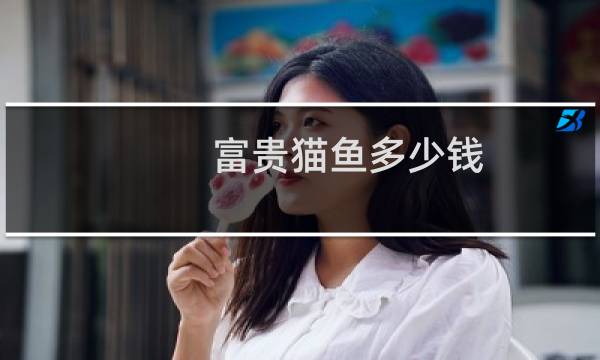 富贵猫鱼多少钱