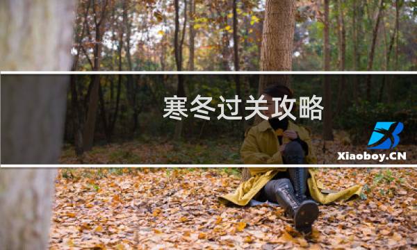 寒冬过关攻略