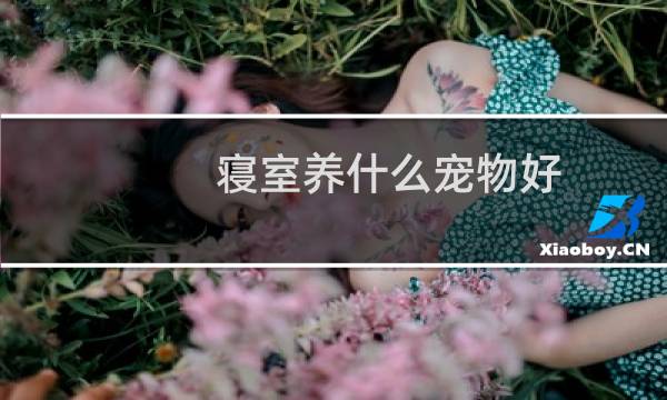 寝室养什么宠物好