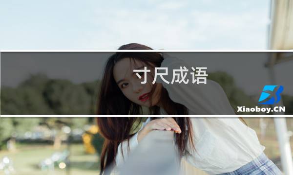 寸尺成语