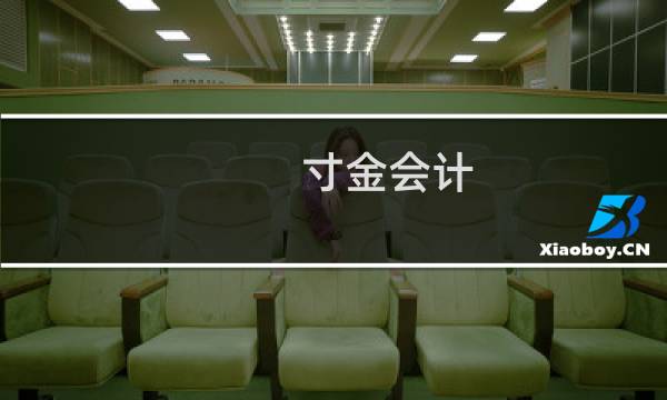 寸金会计