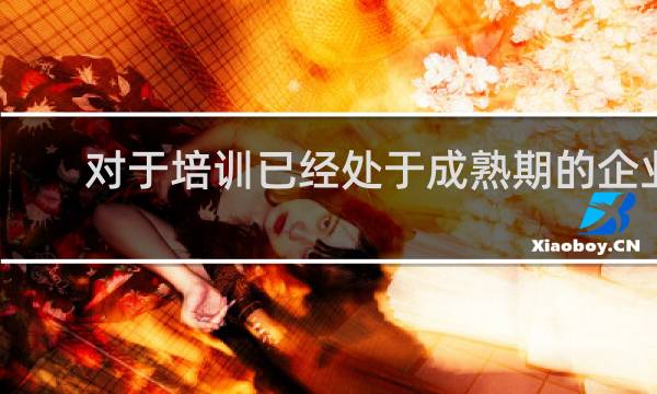 对于培训已经处于成熟期的企业