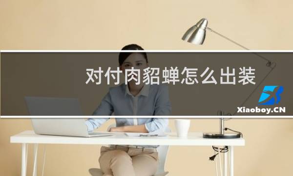 对付肉貂蝉怎么出装