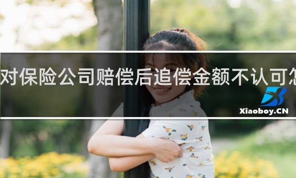 对保险公司赔偿后追偿金额不认可怎么办