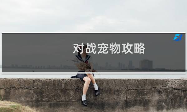 对战宠物攻略