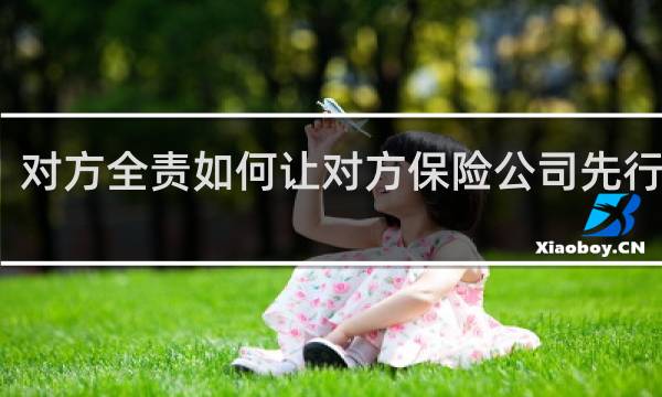 对方全责如何让对方保险公司先行赔付