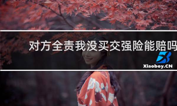 对方全责我没买交强险能赔吗