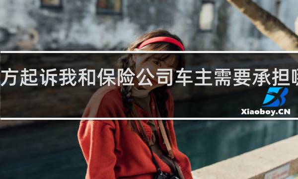 对方起诉我和保险公司车主需要承担哪些费用