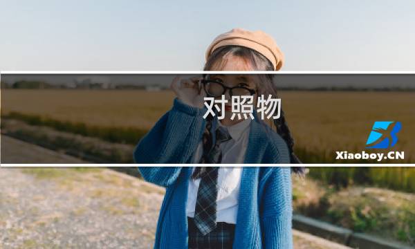 对照物 攻略