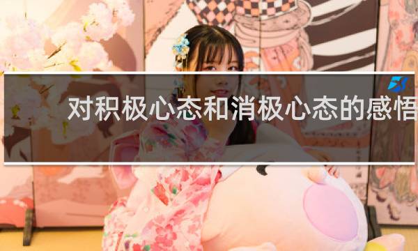 对积极心态和消极心态的感悟