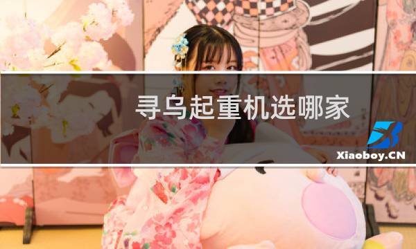 寻乌起重机选哪家