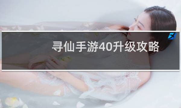 寻仙手游40升级攻略