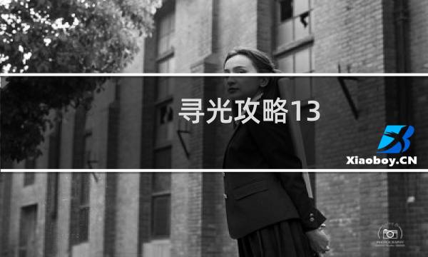寻光攻略13