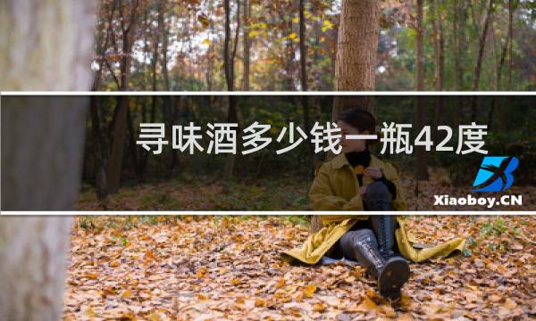 寻味酒多少钱一瓶42度