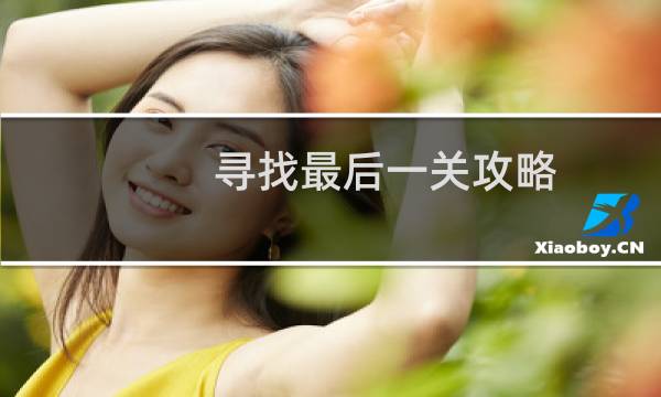 寻找最后一关攻略