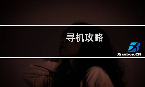 寻机攻略
