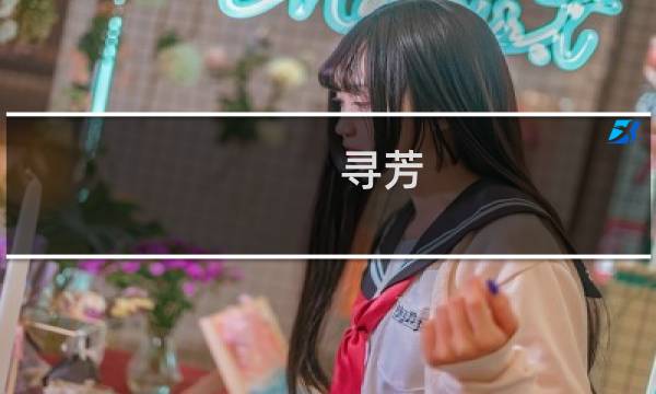 寻芳 攻略