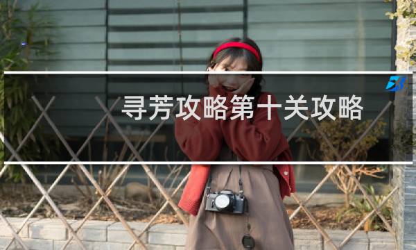 寻芳攻略第十关攻略