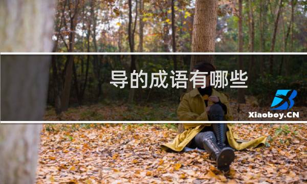 导的成语有哪些