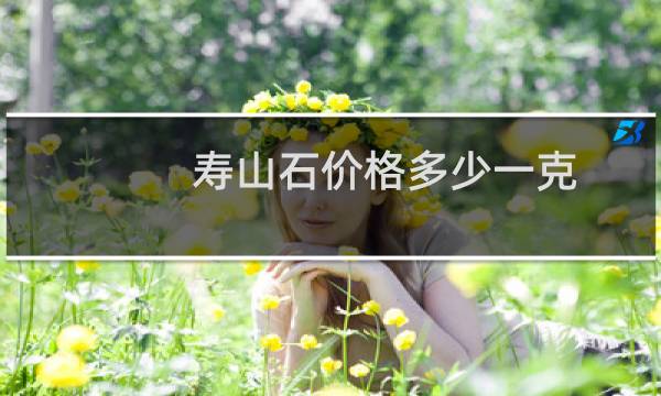 寿山石价格多少一克