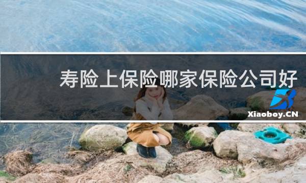 寿险上保险哪家保险公司好