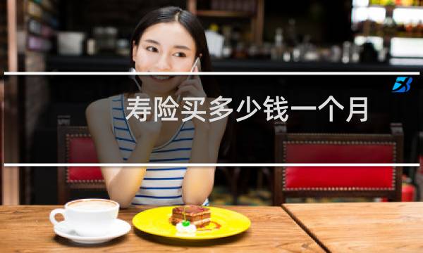 寿险买多少钱一个月