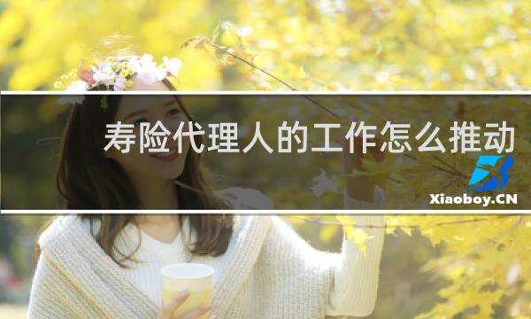 寿险代理人的工作怎么推动