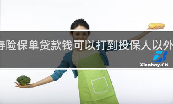寿险保单贷款钱可以打到投保人以外帐上吗