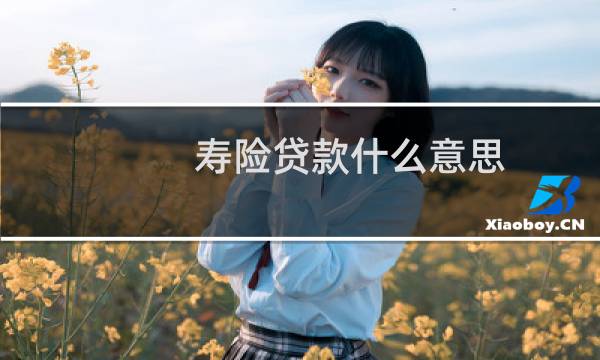 寿险贷款什么意思