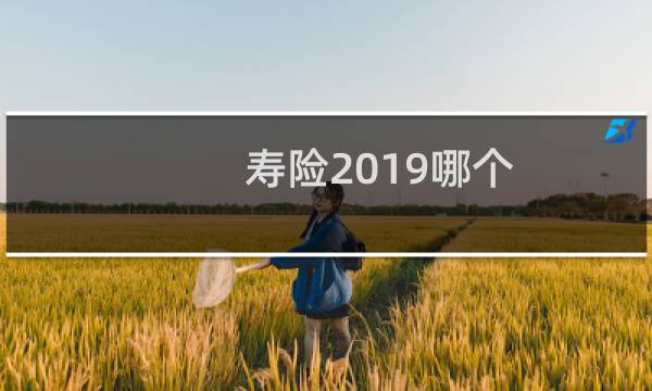 寿险2019哪个