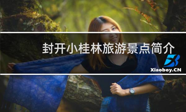 封开小桂林旅游景点简介