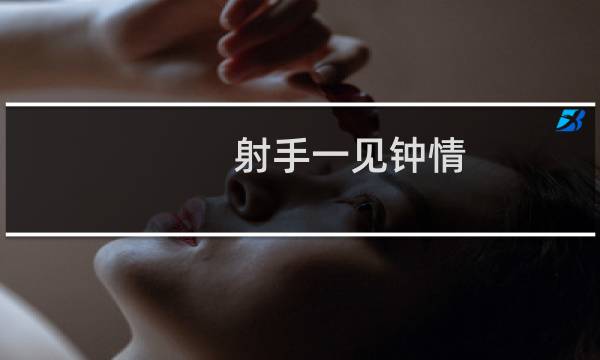 射手一见钟情