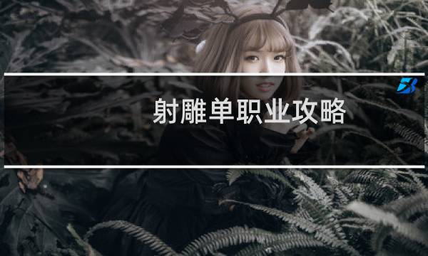 射雕单职业攻略