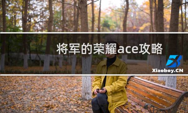 将军的荣耀ace攻略
