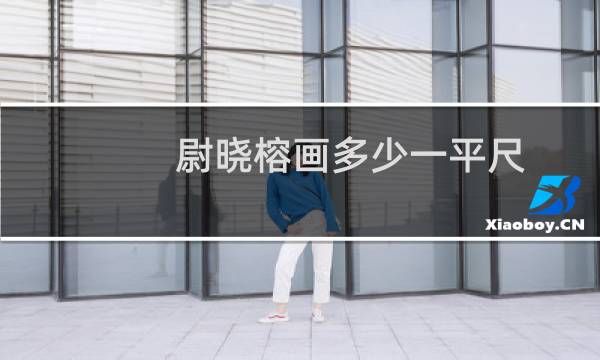 尉晓榕画多少一平尺