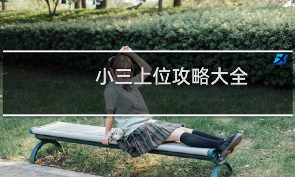 小三上位攻略大全