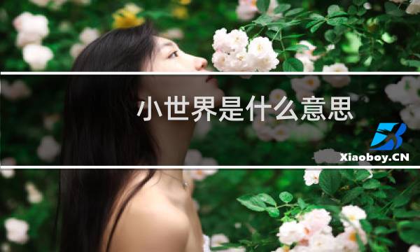 小世界是什么意思