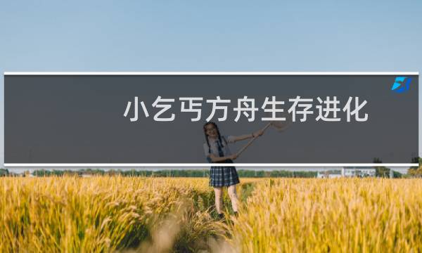 小乞丐方舟生存进化
