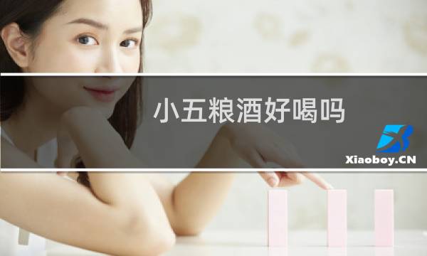 小五粮酒好喝吗
