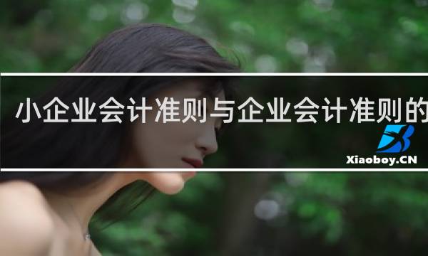 小企业会计准则与企业会计准则的区别