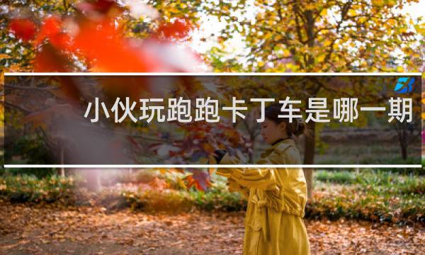 小伙玩跑跑卡丁车是哪一期