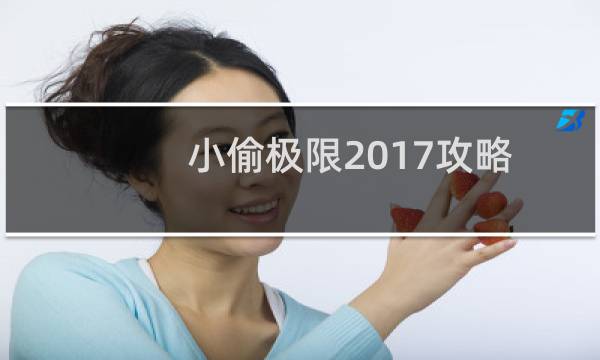 小偷极限2017攻略