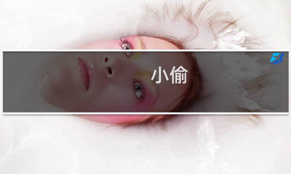 小偷-极限2017攻略