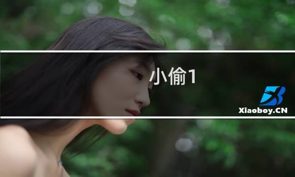 小偷1.20攻略