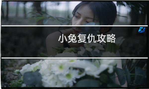 小兔复仇攻略