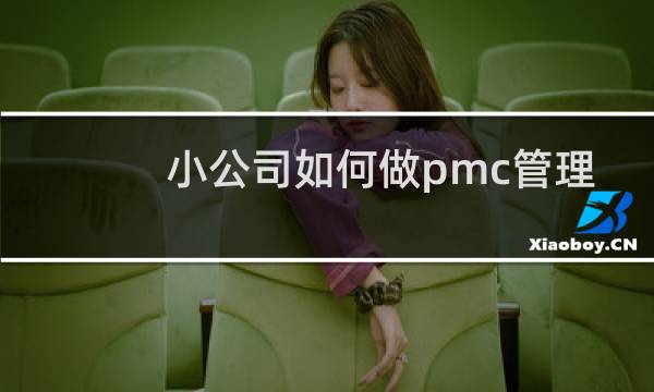 小公司如何做pmc管理