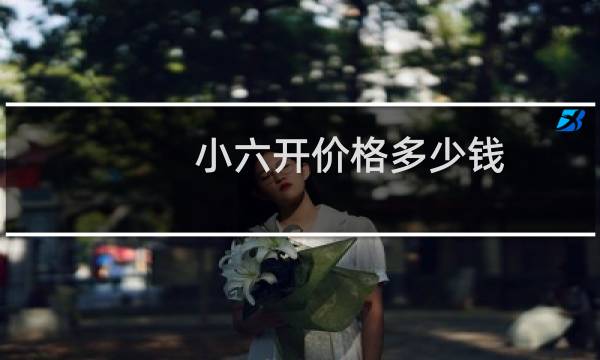 小六开价格多少钱