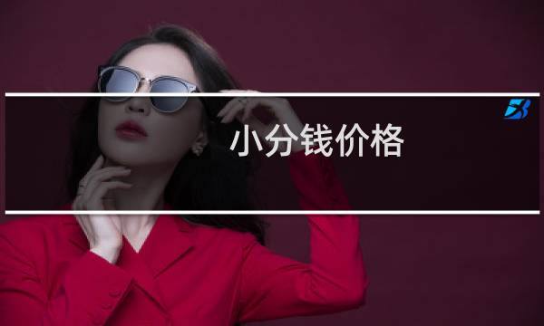 小分钱价格